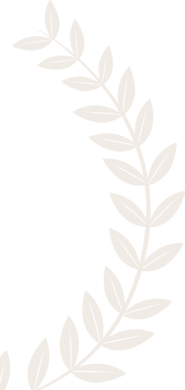 slide-leaf-img1.png
